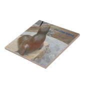 CATALINA ISLAND CERAMIC TILE THE BEN TEGELTJE (Zijkant)