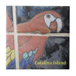 CATALINA ISLAND CERAMIC TILE THE EYE OF CATALINA TEGELTJE
