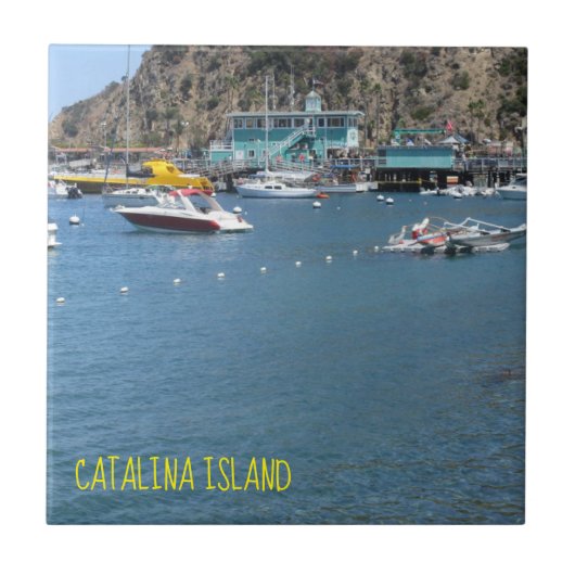 CATALINA ISLAND CERAMIC TILE THE GREEN HOUSE TEGELTJE (Voorkant)