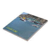 CATALINA ISLAND CERAMIC TILE THE GREEN HOUSE TEGELTJE (Zijkant)