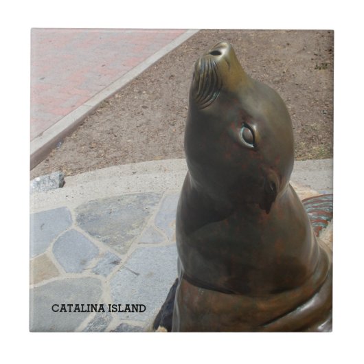 CATALINA ISLAND CERAMIC TILE THE NOSE TEGELTJE (Voorkant)
