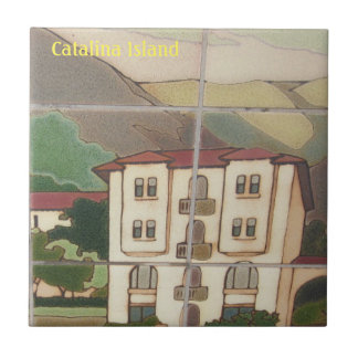 CATALINA ISLAND KERAMISCHE TEGEL FAVORIETE PLAATS  TEGELTJE