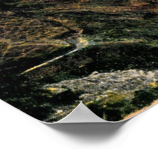 Catalina Island, Lover's Cove, Californische Vinta Poster (Hoek)