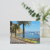 Catalina Island Post-kaart Briefkaart (Staand voorkant)