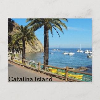 Catalina Island Post-kaart Briefkaart