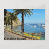 Catalina Island Post-kaart Briefkaart (Voorkant)