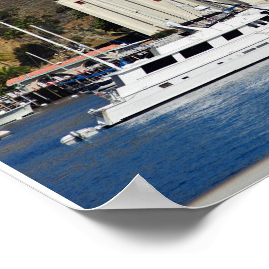 Catalina Island Theater Poster (Hoek)