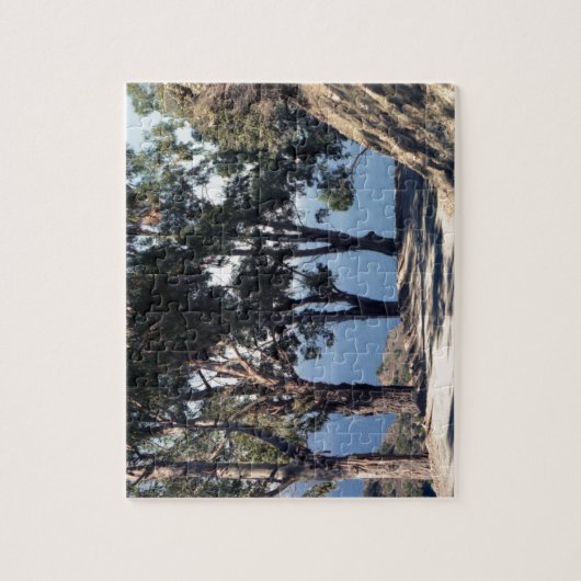 Catalina Legpuzzel (Verticaal)