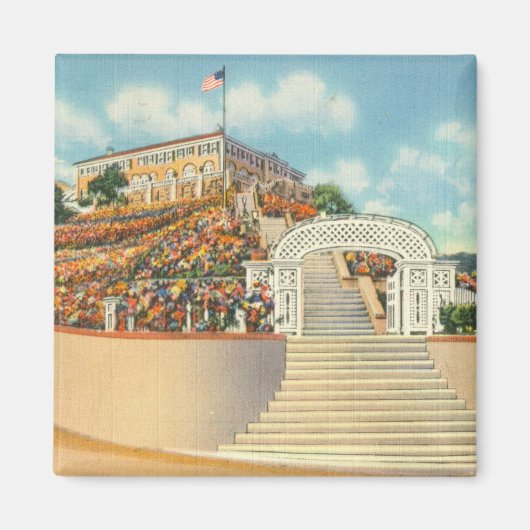 Catalina Magneet (Voorkant)