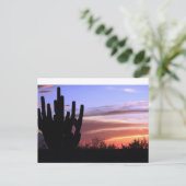 Catalina Mountains Sunset Briefkaart (Staand voorkant)