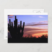 Catalina Mountains Sunset Briefkaart (Voorkant / Achterkant)