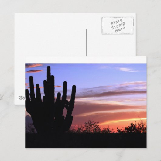 Catalina Mountains Sunset Briefkaart (Voorkant / Achterkant)