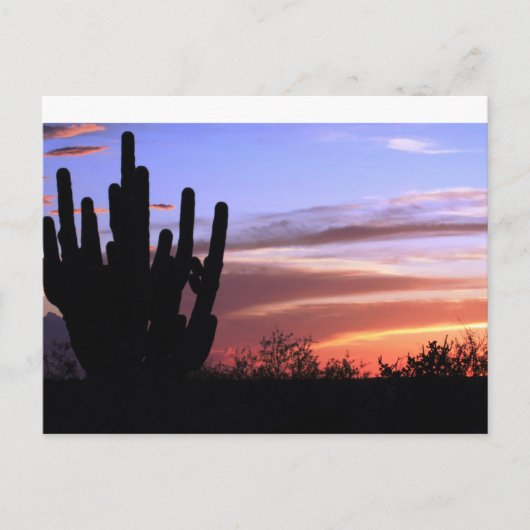 Catalina Mountains Sunset Briefkaart (Voorkant)