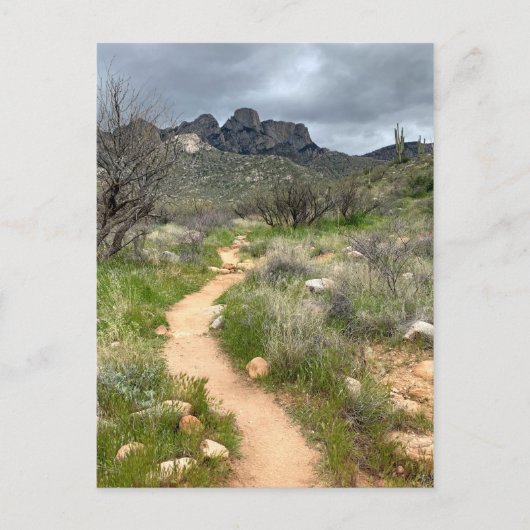 Catalina Mountains Trail Briefkaart (Voorkant)