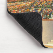 Catalina Muismat (Hoek)