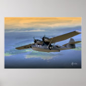 Catalina Over de eilanden Poster (Voorkant)