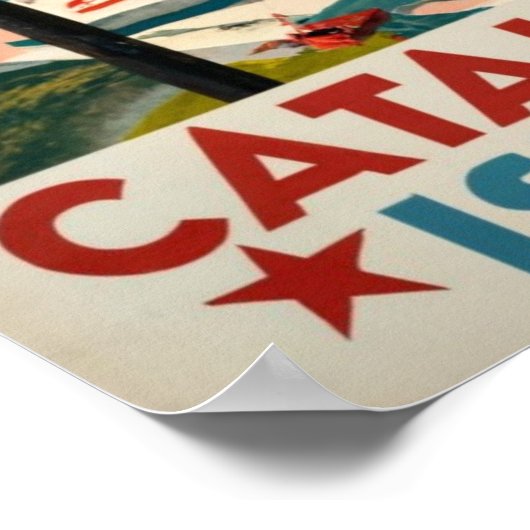 Catalina Poster (Hoek)