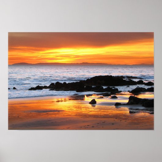 Catalina Sunset Poster (Voorkant)