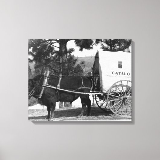 Catalo Grandview Ranch Koe Cart Canvas Afdruk (Voorkant)