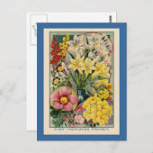 Catalogus  bloemen briefkaart (Voorkant / Achterkant)