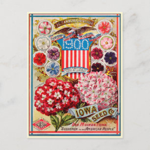 Catalogus kousenbloem briefkaart