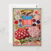 Catalogus kousenbloem briefkaart (Voorkant / Achterkant)