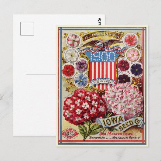 Catalogus kousenbloem briefkaart (Voorkant / Achterkant)