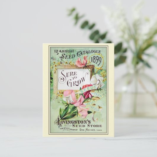 Catalogus kousenbloem briefkaart (Staand voorkant)