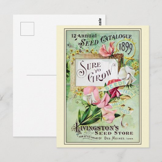 Catalogus  kousenbloem briefkaart (Voorkant / Achterkant)