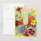 Catalogus  kousenbloem briefkaart (Voorkant / Achterkant)