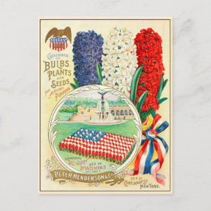 Catalogus  kousenbloem briefkaart