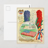 Catalogus  kousenbloem briefkaart (Voorkant / Achterkant)