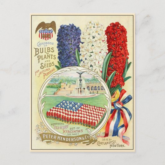 Catalogus  kousenbloem briefkaart (Voorkant)