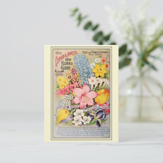 Catalogus  kousenbloem briefkaart (Staand voorkant)