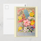 Catalogus  kousenbloem briefkaart (Voorkant / Achterkant)