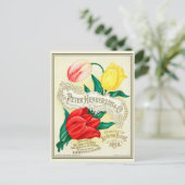 Catalogus  kousenbloem briefkaart (Staand voorkant)