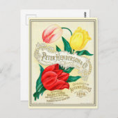 Catalogus  kousenbloem briefkaart (Voorkant / Achterkant)