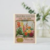 Catalogus  kousenbloem briefkaart (Staand voorkant)