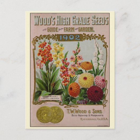 Catalogus  kousenbloem briefkaart (Voorkant)