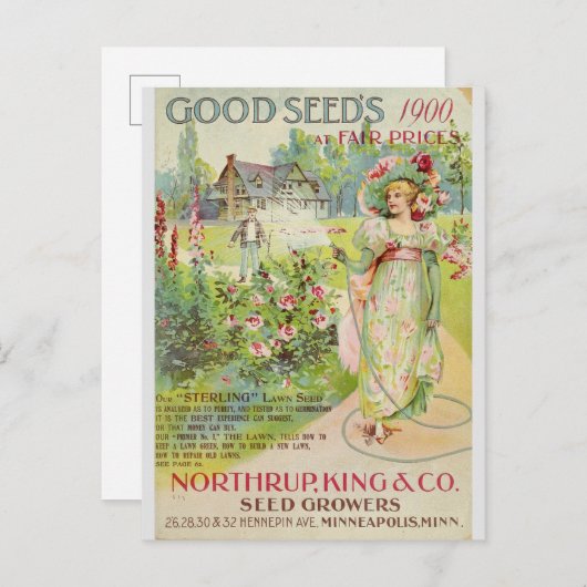 Catalogus  kousenbloem briefkaart (Voorkant / Achterkant)