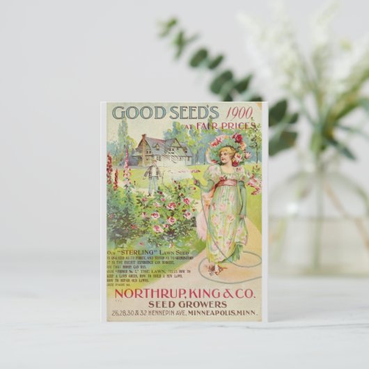 Catalogus kousenbloem briefkaart (Staand voorkant)