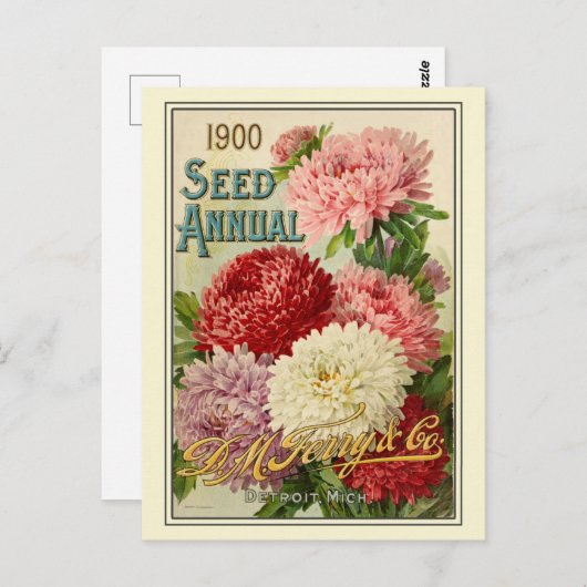 Catalogus  kousenbloem briefkaart (Voorkant / Achterkant)