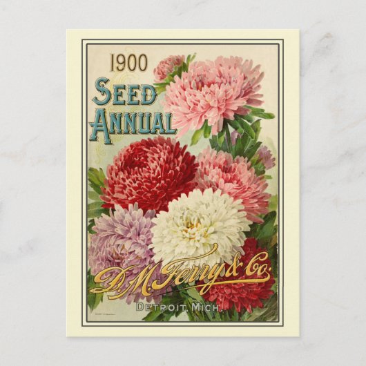 Catalogus  kousenbloem briefkaart (Voorkant)