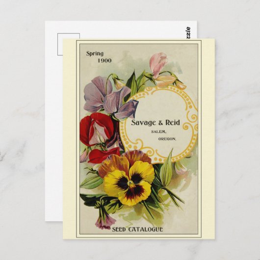 Catalogus kousenbloem briefkaart (Voorkant / Achterkant)