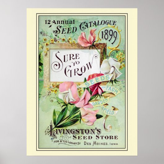 Catalogus  kousenbloem poster (Voorkant)