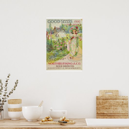 Catalogus  kousenbloem poster (Keuken)