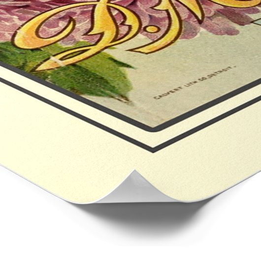 Catalogus  kousenbloem poster (Hoek)