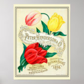 Catalogus  kousenbloem poster (Voorkant)