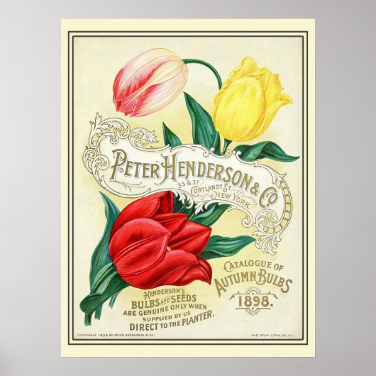 Catalogus kousenbloem poster (Voorkant)