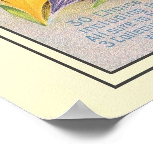 Catalogus kousenbloem poster (Hoek)